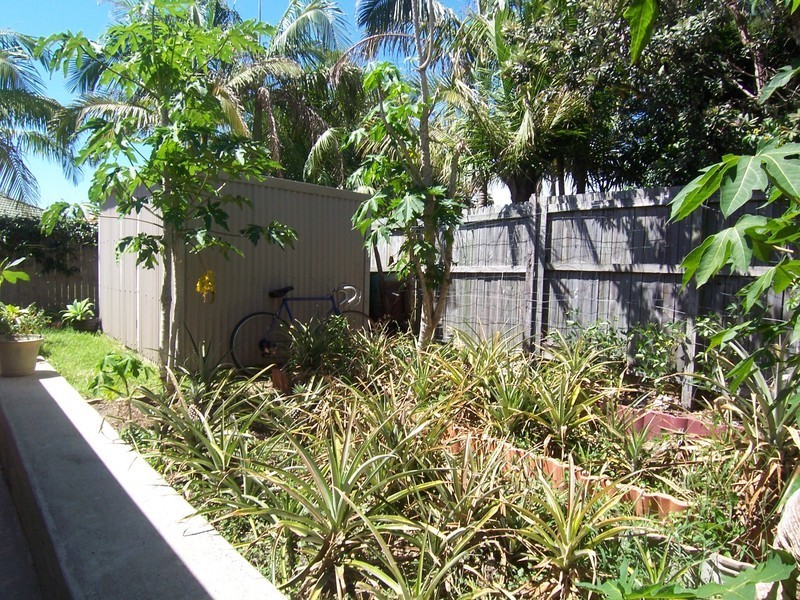 Byron Bay NSW 2481