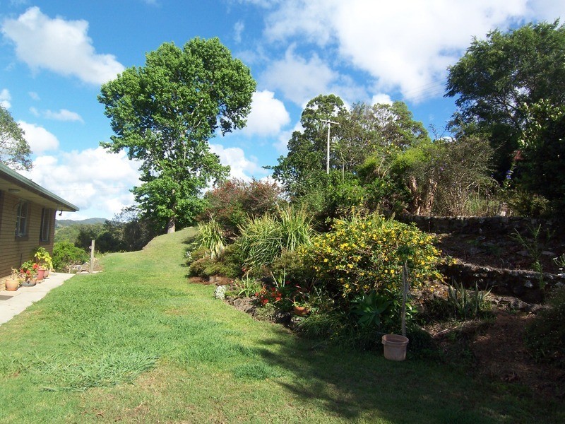 194 Billinudgel Road, Billinudgel NSW 2483