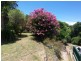 194 Billinudgel Road, Billinudgel NSW 2483