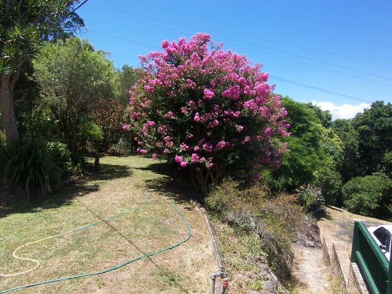 194 Billinudgel Road, Billinudgel NSW 2483