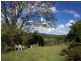 194 Billinudgel Road, Billinudgel NSW 2483