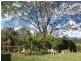 194 Billinudgel Road, Billinudgel NSW 2483