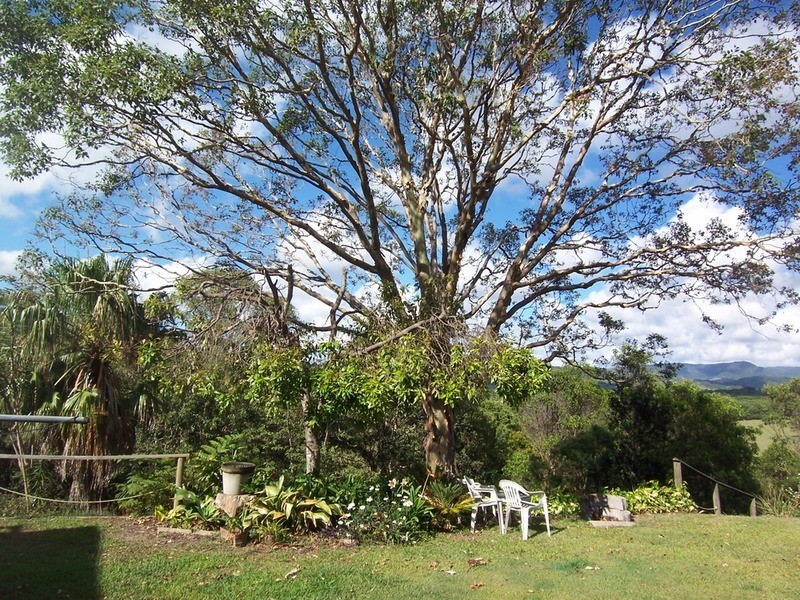 194 Billinudgel Road, Billinudgel NSW 2483