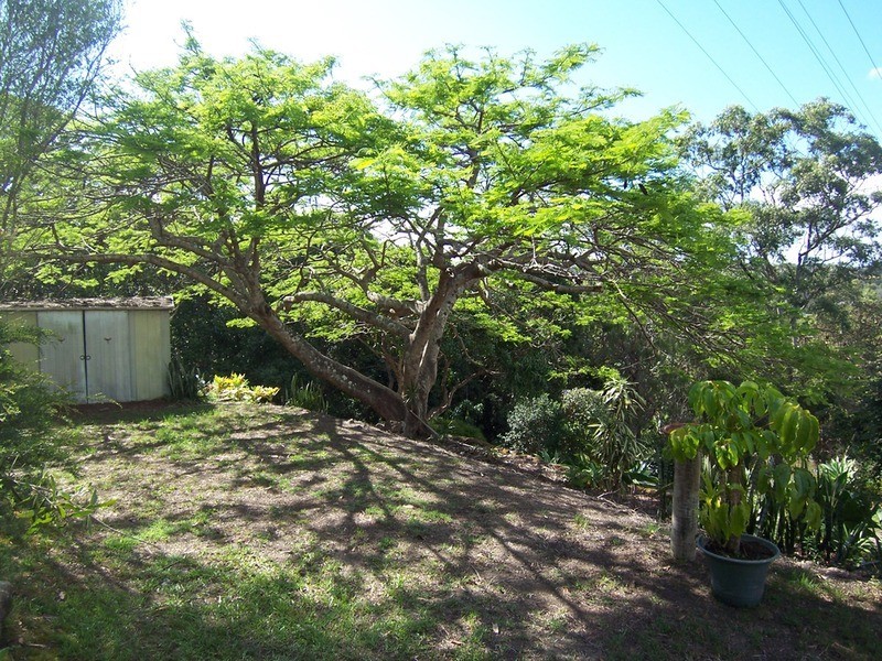 194 Billinudgel Road, Billinudgel NSW 2483
