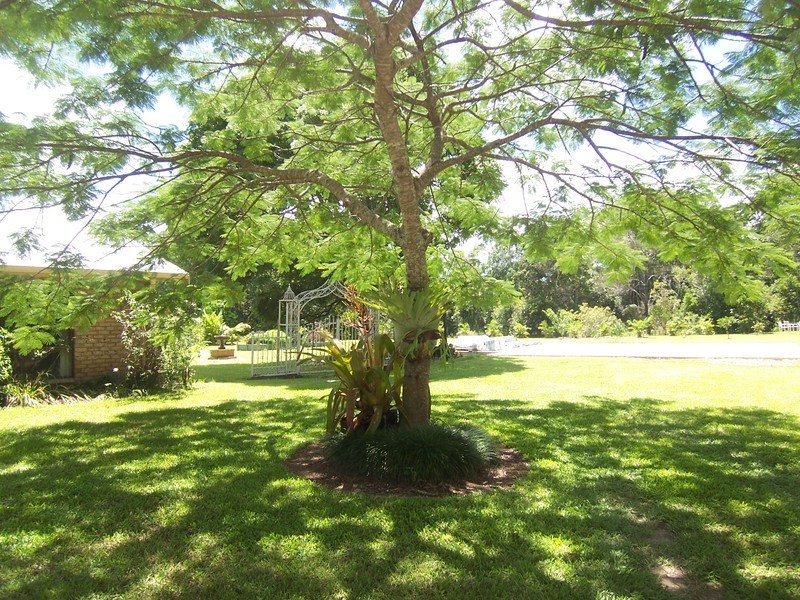 39 Garden Avenue, Mullumbimby NSW 2482