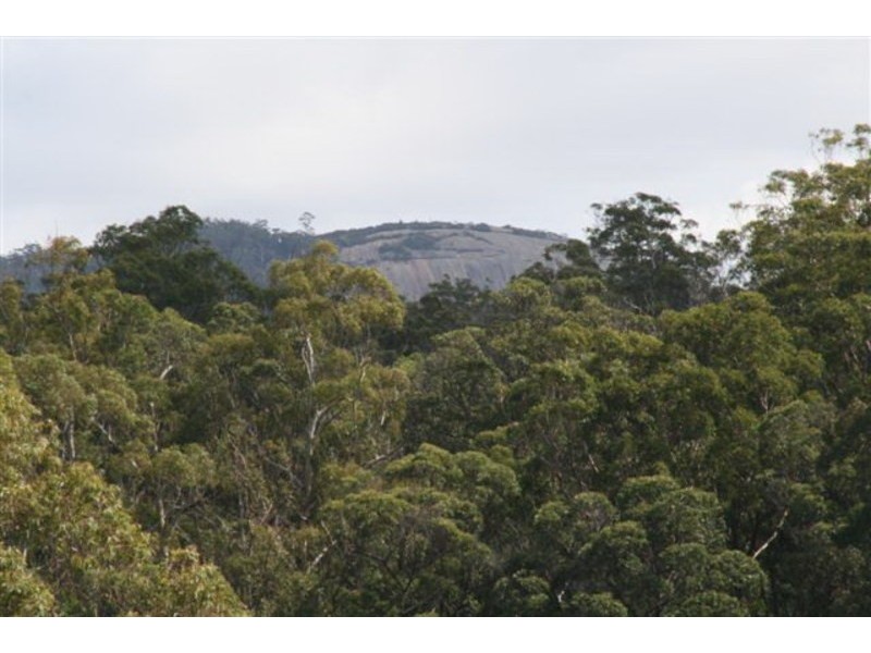 27 & 28 Mt Lindsay Highway, Tenterfield NSW 2372