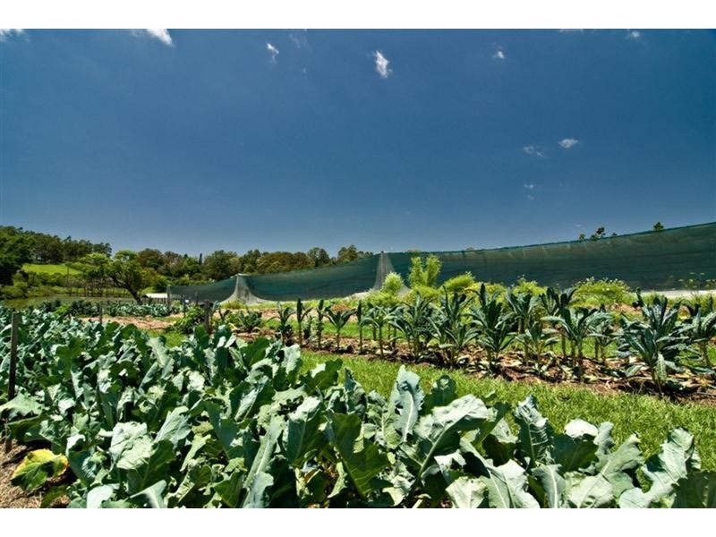 70 Kennedys Lane, Tyagarah NSW 2481