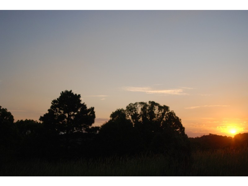 Lot 1 Rifle Range Road, Bangalow NSW 2479