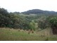 66 The Pocket Road, Billinudgel NSW 2483