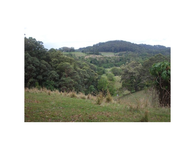 66 The Pocket Road, Billinudgel NSW 2483