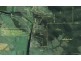 101 Bottle Creek Road, Tabulam NSW 2469