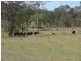 Lot 55/56/60/80 Plain Station Road, Tabulam NSW 2469