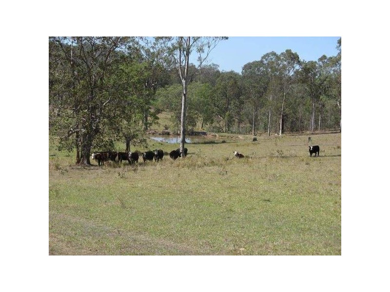 Lot 55/56/60/80 Plain Station Road, Tabulam NSW 2469