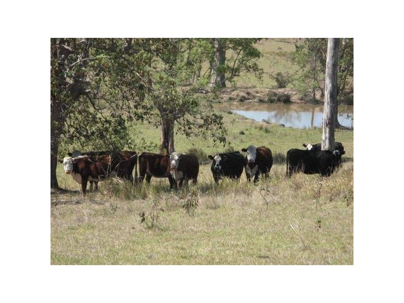 Lot 55/56/60/80 Plain Station Road, Tabulam NSW 2469