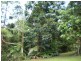 71 Beatties Creek Road, Mullumbimby NSW 2482