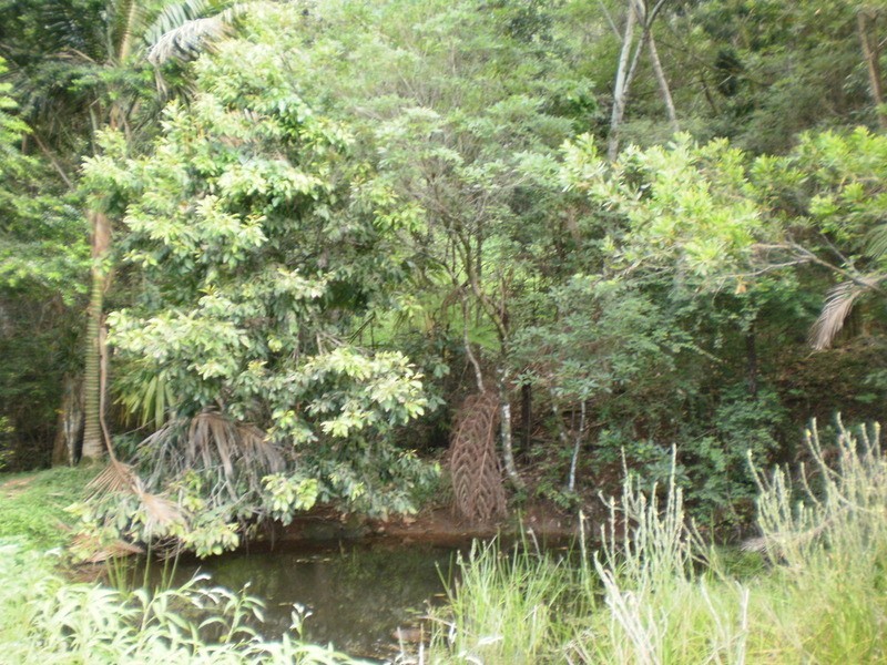 71 Beatties Creek Road, Mullumbimby NSW 2482