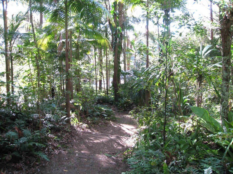 86 Old Bangalow Road, Byron Bay NSW 2481