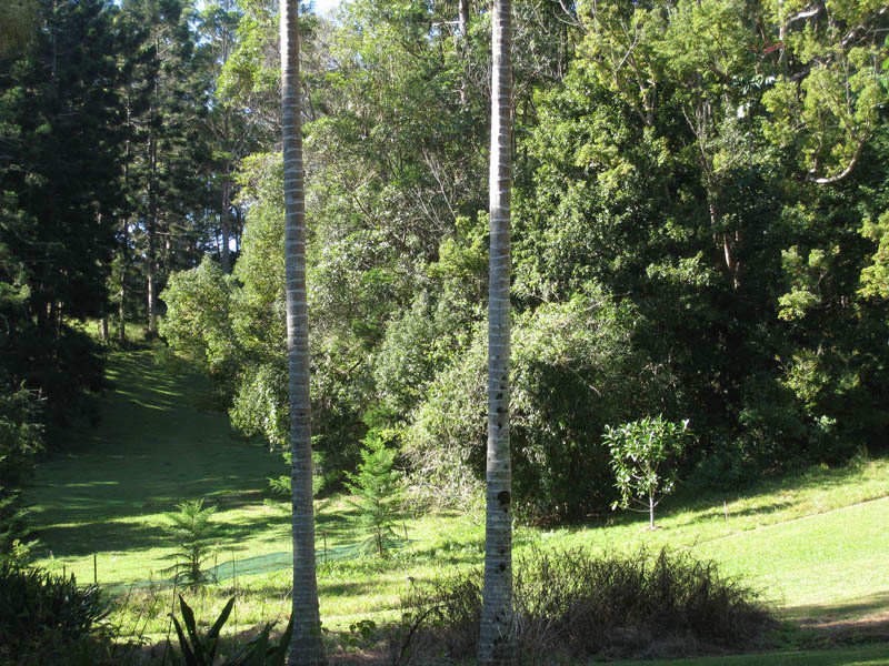 86 Old Bangalow Road, Byron Bay NSW 2481