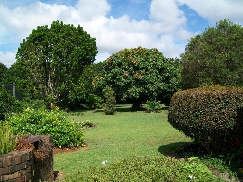 213 Pacific Highway, Bangalow NSW 2479