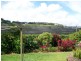 213 Pacific Highway, Bangalow NSW 2479