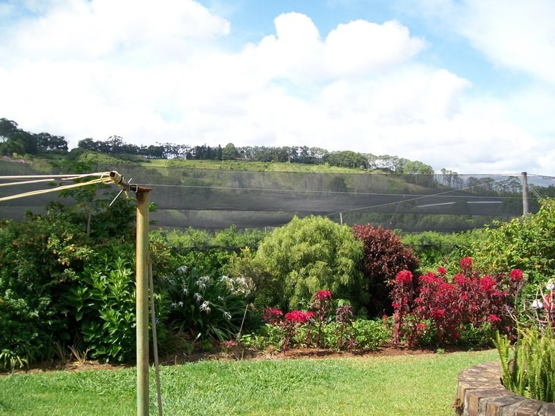 213 Pacific Highway, Bangalow NSW 2479
