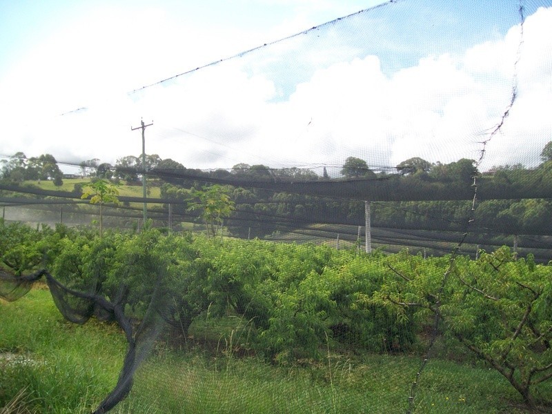 213 Pacific Highway, Bangalow NSW 2479