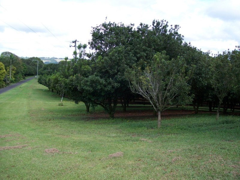 213 Pacific Highway, Bangalow NSW 2479