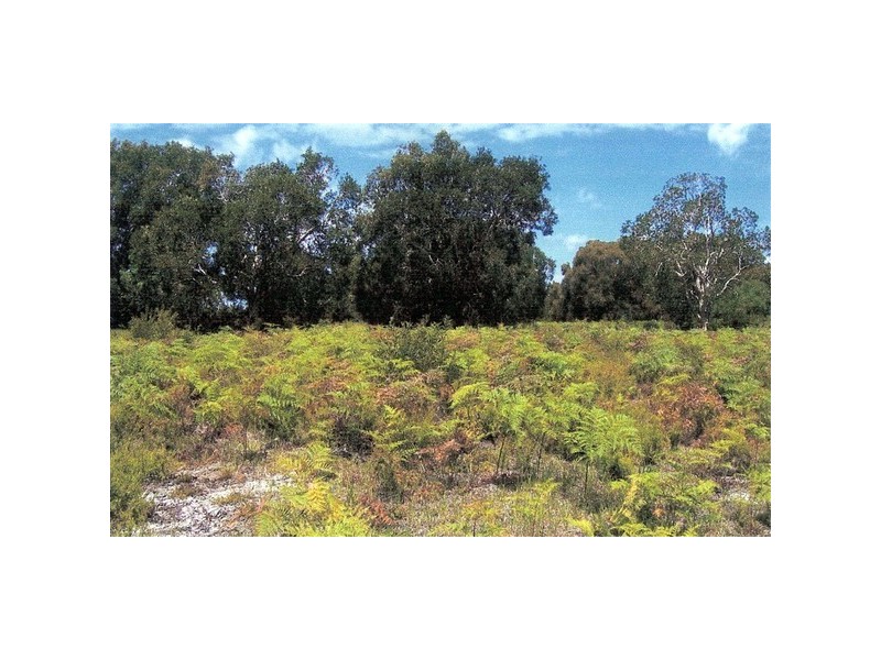5 Bundaleer Road, Broken Head NSW 2481