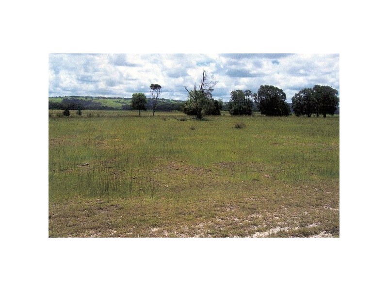 5 Bundaleer Road, Broken Head NSW 2481