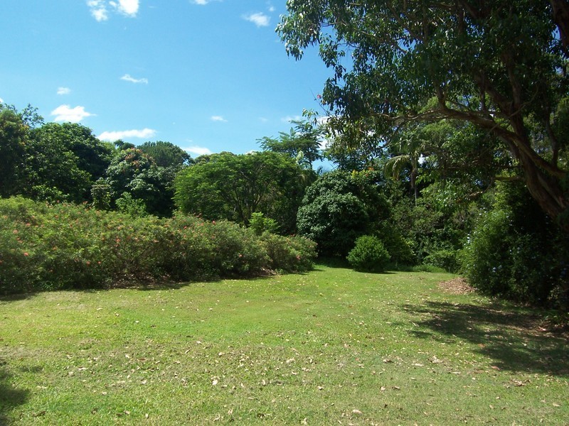 1 Possum Wood Place, Mullumbimby NSW 2482