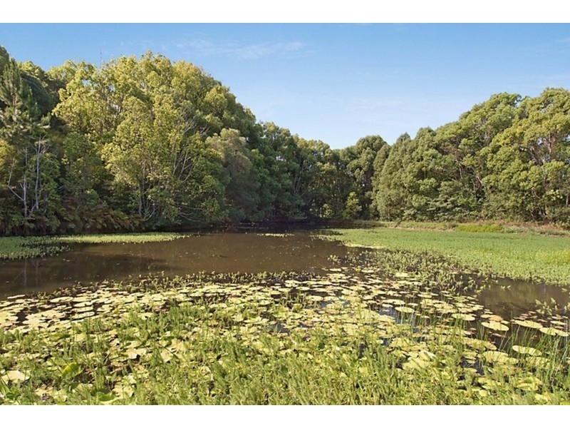 193 Pocket Road, Billinudgel NSW 2483