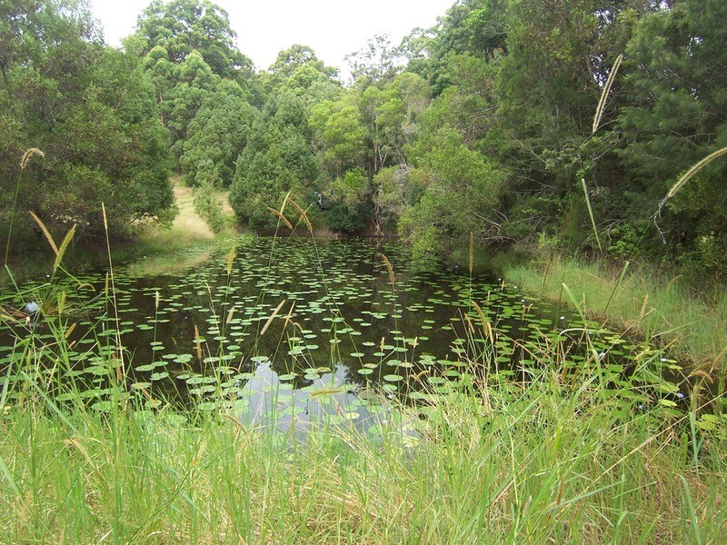 Lot 1/59 Kingsvale Road, Myocum NSW 2481