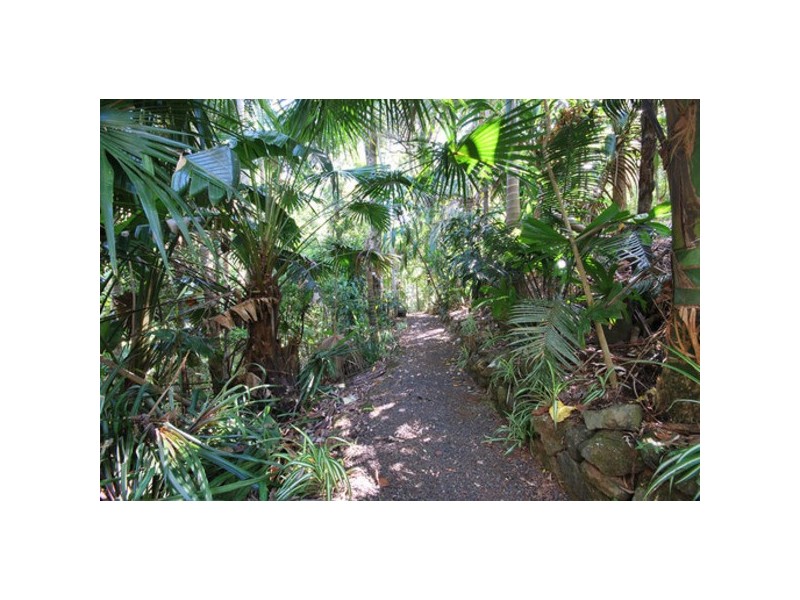 102 Upper Wilson Creek Road, Wilsons Creek NSW 2482