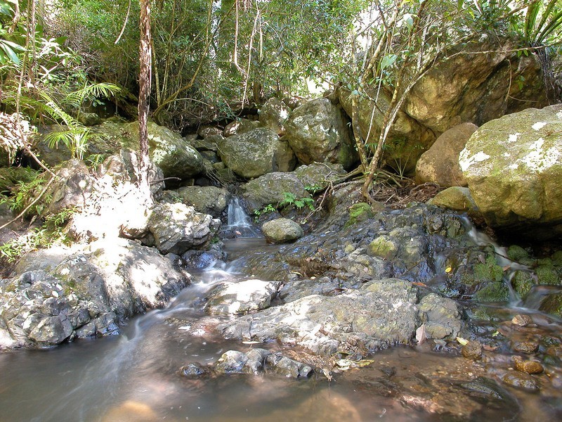 115 Johnsons Road, Huonbrook NSW 2482