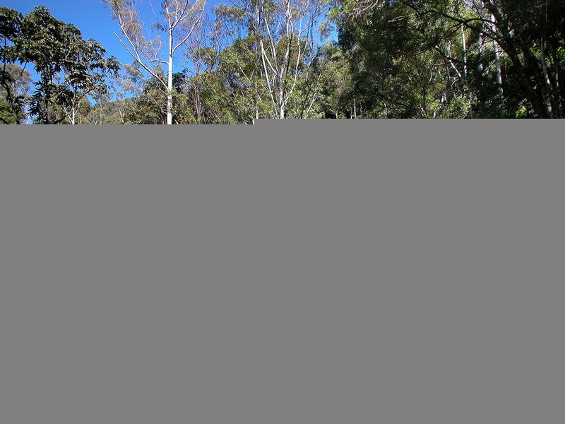 115 Johnsons Road, Huonbrook NSW 2482