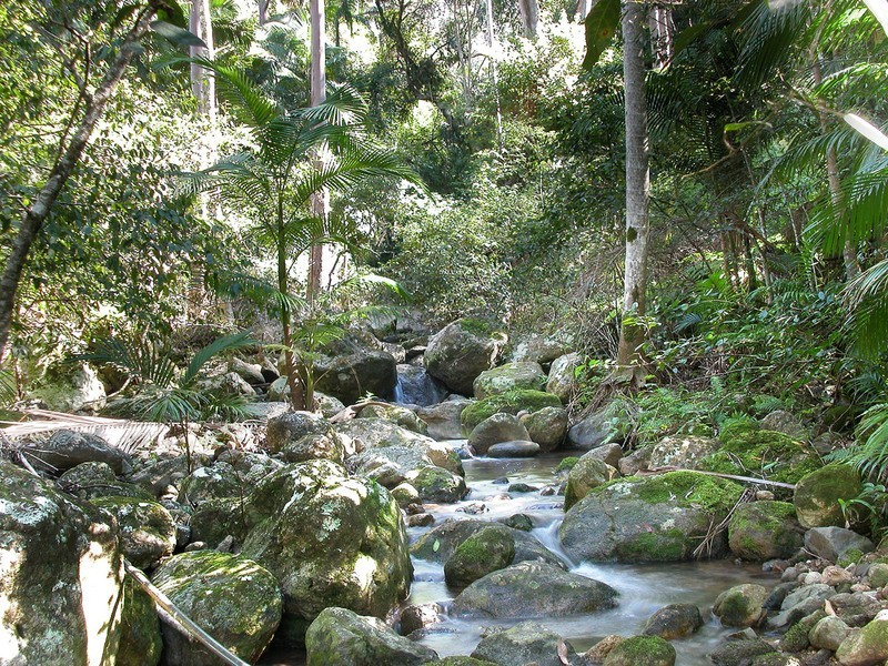 115 Johnsons Road, Huonbrook NSW 2482