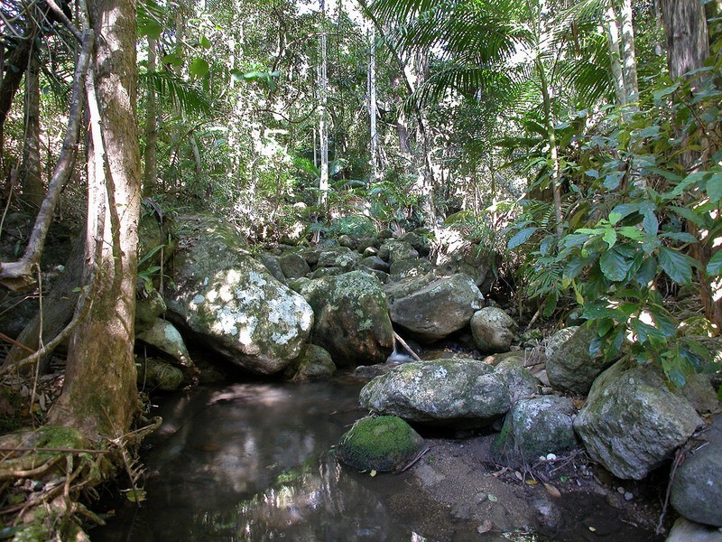 115 Johnsons Road, Huonbrook NSW 2482