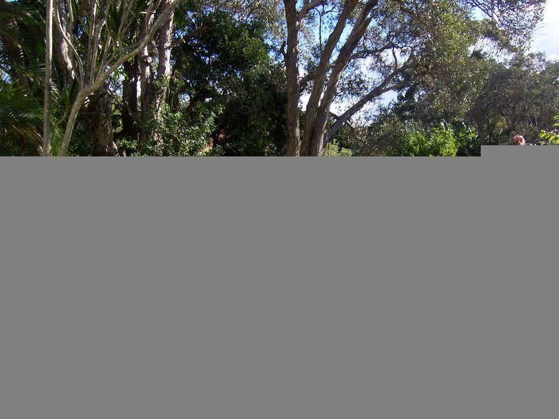 14 Cooper Street, Byron Bay NSW 2481
