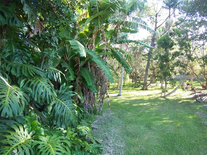14 Cooper Street, Byron Bay NSW 2481
