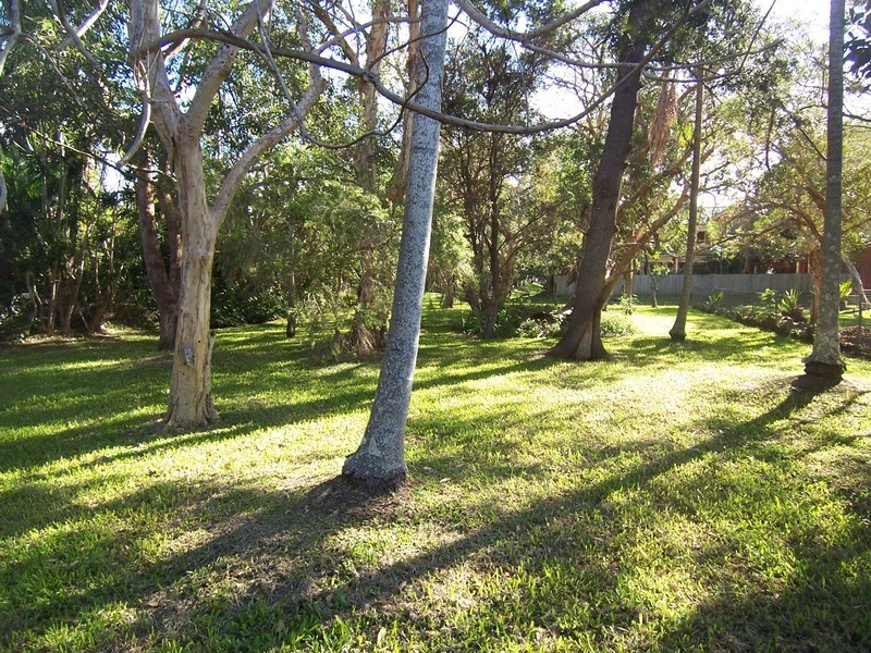 14 Cooper Street, Byron Bay NSW 2481