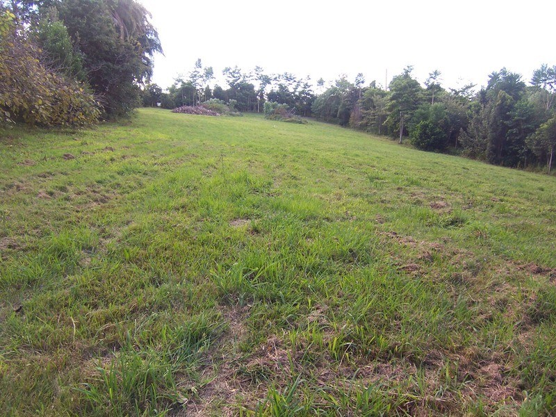 87 Parkway Drive, Ewingsdale NSW 2481