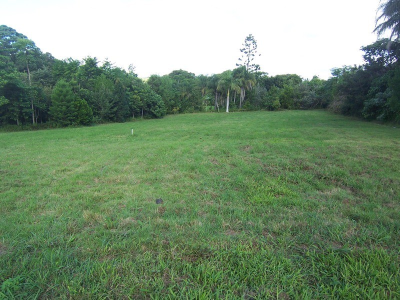 87 Parkway Drive, Ewingsdale NSW 2481