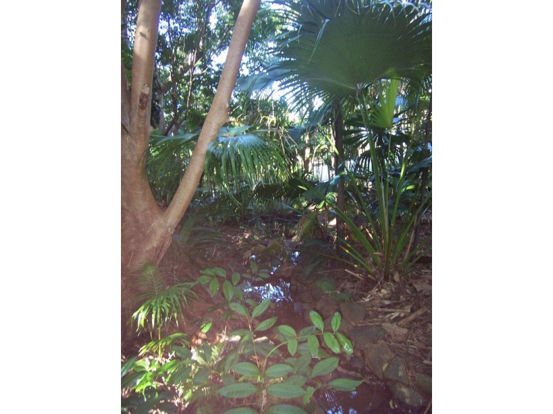 9 Yengarie Way, Ocean Shores NSW 2483
