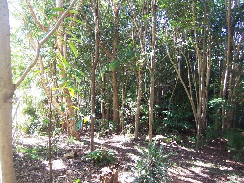 9 Yengarie Way, Ocean Shores NSW 2483
