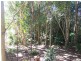 9 Yengarie Way, Ocean Shores NSW 2483