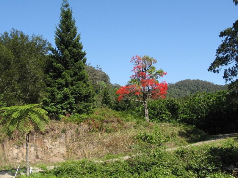 2 Jonsons Road, Huonbrook NSW 2482