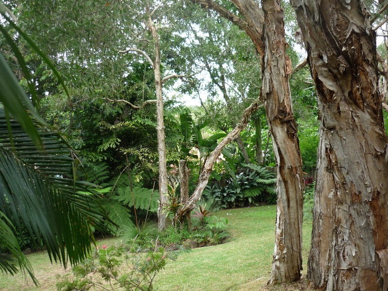 7 Scott Street, Byron Bay NSW 2481