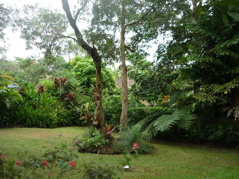 7 Scott Street, Byron Bay NSW 2481