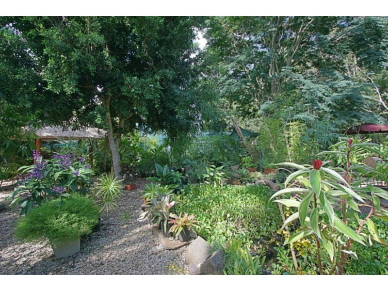 221 Kennedys Lane, Tyagarah NSW 2481