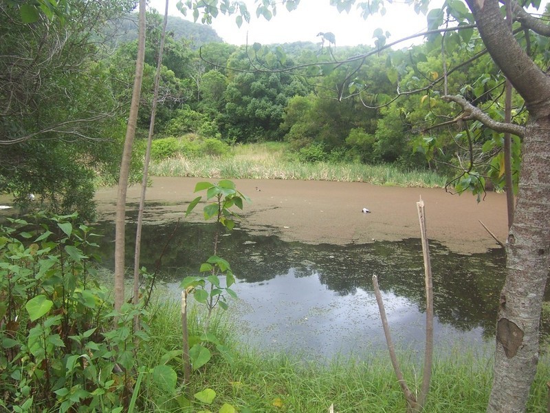 Lot 3 Settlement Road, Mullumbimby NSW 2482